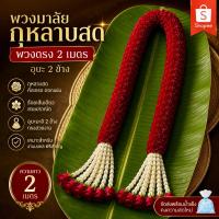 ราคา [ส่งใน2ชม.] พวงมาลัยกุหลาบ มาลัยกุหลาบ (ดอกไม้สด) พวงตรง 2 เมตร | มาลัยคล้อง ขนาดใหญ่ - มาลัยแก้บน ถวายเทพ งานมงคล (55060724175)