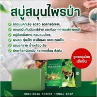 ราคา สบู่สมุนไพรป่า แก้คันลดผดผื่น แก้ผิวหนัง พุพอง แพ้เหงื่อ 35-65-100 (25056911340)
