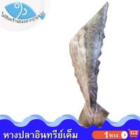 ราคา ไต๋ฮ๊อด หางปลาอินทรีย์เค็ม 1หาง ปลาเค็ม หางปลา หางปลาอินทรีย์ ปลาอินทรีย์ ปลาอินทรี ปลาอินทรีย์เค็ม (44361813168)