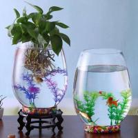 ราคา พืชไฮโดรโปนิขวดแก้วน้ำสำหรับ pothos แจกันดอกไม้หม้อแก้วโปร่งใสไข่มังกรน้ำตู้ปลาคอนเทนเนอร์ (24284100119)