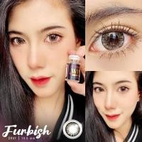 ราคา สุดปัง มีค่าสายตา Wink furbish /Elsa Gray Brown บิ๊กอาย สุดปัง คอนแทคเลนส์ รายเดือน มีอย แถมตลับฟรี เลนส์นิ่ม สวยปัง (28035395889)