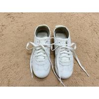 ราคา Used ร้องเท้าผ้าใบ หนังสีขาว Onitsuka Tiger แท้100% สภาพ80-90% (24864988819)