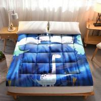 ราคา ท็อปเปอร์ขนห่านเทียมสีพื้น เปลี่ยนฟูกแข็งๆ ให้ฟูหนานุ่มในพริบตา mattress (4732226781)