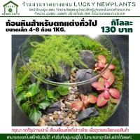 ราคา หินจัด layout ตู้ไม้น้ำ ตู้ปลา สวนถาด ขนาดเล็ก แบ่งขาย 70 - 130 บาท (17013766954)