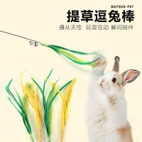 ราคา 提摩西草头型 香菜棒猫草 耳玩具หางแมว 巴草解乐 สั่น3.26Tiyหญ้ารูปกระต่ายทีเซอร์ติด,หญ้าหางแมว ของเล่นสําหรับลอป-มอด แคระกระต่าย (42429519183)