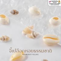 ราคา จี้เปลือกหอยธรรมชาติ แพ็ค30-100ชิ้น เจาะรู สำหรับทำจี้ ถักเชือกเทียน สร้อยคอ ข้อมือ DIY หอยเบี้ย ลูกปัดเปลือกหอย (42658071393)