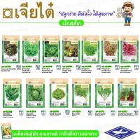 ราคา เจียไต๋ ผักซอง เมล็ดพันธุ์ผัก (ผักสายพันธุ์ลูกผสม) ผักสลัด ผักกาด ผักกาดหอม (9071008375)