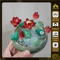 ราคา โลตัสแก้วสีโปร่งใส - โลตัสหม้อขนาดเล็กสําหรับตกแต่งห้องนั่งเล่นมุมการปฏิบัติ (51206204971)