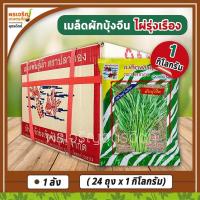 ราคา เมล็ดพันธุ์ผักบุ้ง ผักบุ้งจีน ไผ่รุ่งเรือง (ยกลัง 24 ถุง) เมล็ดผักบุ้งจีนใบเรียว เมล็ดพันธุ์ยกลัง เมล็ดพันธุ์ตราปลาทอง (16411449422)