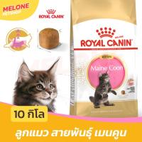ราคา [กระสอบ] Royal Canin Maine Coon Kitten รอยัลคานิน อาหารลูกแมว พันธุ์ เมนคูน ลูกแมว อายุ 4-15 เดือน 10 kg (19334472756)