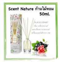 ราคา น้ำหอมไม้ปักอโรม่า กลิ่น blackcurrant แบรนด์ scent nature 50ml. (6514682173)