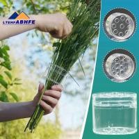 ราคา [ขายร้อน L] 3 ชิ้น Spiral Stem Holder Bloom Shaper สําหรับดอกไม้ฐานการจัดดอกไม้จีนและญี่ปุ่น (2L+1S) (46509793159)