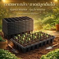 ราคา ลึกและหนาขึ้น ถาดเพาะกล้า ถาดเพาะกล้าข้าว ถาดเพาะกล้า 105 หลุม ถาดปลูกต้นไม้ 21/32/50/72/105/128/200 หลุม (41424895888)