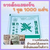 ราคา ชุด 1000 แผ่น ของแท้! กาวดักแมลงวัน ชนิดแผ่นกระดาษ รุ่นแผ่นเขียว กาวเหนียวไม่เยิ้ม กระดาษกาวดักแมลงวัน กาวดักแมลง (41060557528)