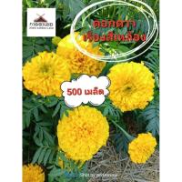 ราคา เมล็ดพันธุ์ดอกดาวเรืองสีเหลือง 500 เมล็ด (29466975786)