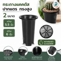 ราคา กระถางแคคตัส ปากแตร ทรงสูง พลาสติกสีดำ ระบายน้ำดี 5.5 นิ้ว / 6 นิ้ว กระถางต้นไม้ กระถางพลาสติก แคคตัส ไม้อวบน้ำ (41880373359)