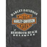 ราคา เสื้อยืด Vintage 2001s Harley Davidson logo Harley DavidsonT-Shirt 2XL สีดำ มือสอง (11111591844)