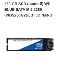 ราคา 250 GB SSD WD Blue SATA M.2 2280 (1955116252)