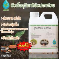 ราคา ปุ๋ยชีวภาพหัวเชื้อจุลินทรีย์หน่อกล้วย (5719676782)