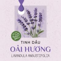 ราคา น้ํามันหอมระเหยลาเวนเดอร์บริสุทธิ์ - Lavandula angustifolia (49510640401)