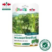 ราคา ศรแดง เมล็ดพันธุ์ มะเขือเปราะพวงหยกจักรพันธ์ จันกะผัก (East West Seed) เมล็ดพันธุ์ผัก เมล็ดพันธุ์ ผักสวนครัว ตราศรแดง (12989235181)