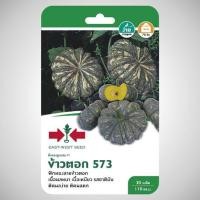 ราคา เมล็ดพันธ์ุ ฟักทองลูกผสม F1 ข้าวตอก 573 #ศรแดง#ซื้อ 5 ซอง แถมปุ๋ยเกล็ดขนาด 3 กรัม1ซอง(3กรัมต่อน้ำ20ลิตร)(รวมชนิดได้) (934628182)