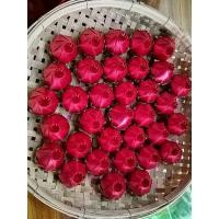 ราคา เหรียญโปรยทาน ตัวเปล่า กุหลาบแย้ม (16274695893)