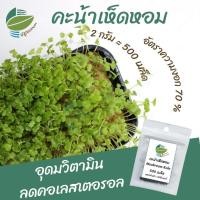 ราคา เมล็ดพันธุ์ ต้นอ่อน คะน้าเห็ดหอม คะน้าหวาน (15197920962)