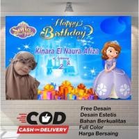 ราคา แบนเนอร์วันเกิดเด็กเจ้าหญิงโซเฟียสุดสวย (51409591272)