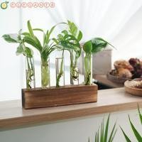 ราคา AELEGANT Hydroponic พืชคอนเทนเนอร์,แก้วใส Retro Test Tube แจกัน,ดอกไม้หม้อไม้ขาตั้ง 3/4/5 แก้วหลอดทดลองแจกัน Garden Office Decor (57959693402)