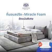 ราคา LOTUS ที่นอน (สเปคแน่นเป็นพิเศษ) รุ่น Advance หนา 10 นิ้ว ส่งฟรี (21437161015)