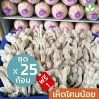 ราคา ก้อนเชื้อเห็ดโคนน้อย ชุด 25 ก้อน(ฟรี 1) ก้อนสำหรับเปิดดอก ดูแลง่าย พร้อมคู่มือเปิดดอก (3842055546)