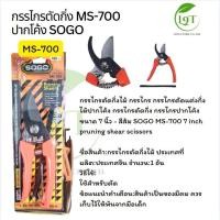 ราคา กรรไกรตัดกิ่งปากนกแก้ว SOGO MS-700 เหล็ก H.S.S. VDO (42508957139)