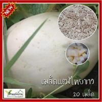 ราคา 30 เมล็ด แตงไทยขาว แตงไทย เมล็ดแตงไทย เมล็ดพันธุ์แตงไทย เนื้อฟู หวานหอม (8303422355)