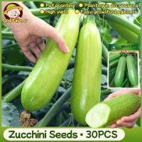 ราคา 30เมล็ด/แพ็ค เมล็ดพันธุ์ ซูกินี F1 Organic Zucchini Seeds Bottle Gourd Seed Summer Squash Seeds Zucchini Vegetable (43978078158)