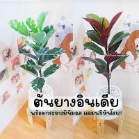 ราคา ((พร้อมส่ง)) ต้นไม้ปลอม ยางอินเดีย ยางอินเดียดำ ยางอินเดียด่าง พร้อมกระถาง7นิ้ว (19242093135)