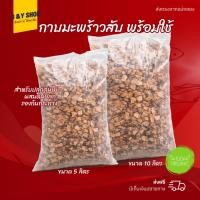 ราคา กาบมะพร้าวสับ กาบมะพร้าว ล้างสารเทนนินแล้ว วัสดุผสมดินปลูก กาบมะพร้าวพร้อมใช้ (55556312434)