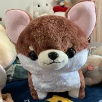 ราคา หมาชิวาว่า ~Muchimu Chihuahua~ *ป้ายห้อย (2828526596)