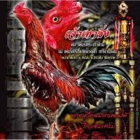 ราคา (คลิ๊ปพ่อพันธุ์)ไข่ไก่​ชน​พม่า​ม้าล่อรำวง​เมืองเหนือ​เจ้า​เทาซิ่ง(หลานเก้าล้าน)​ (18210195076)