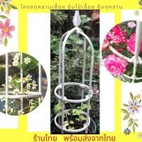 ราคา ซุ้มไม้เลื้อย โครงไม้เลื้อย ซุ้มกุหลาบ ซุ้มกุหลาบเลื้อย ทนทาน สีสวย สูง60ซม. โครงเหล็กไม้เลื้อย โครงกุหลาบ ซุ้มดอกไม้ (29054986133)