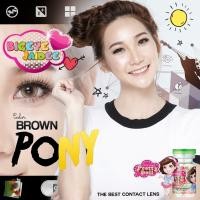 ราคา PrettyDoll Pony Eff.19 Brown ใหญ่ (19473709478)