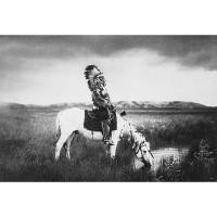 ราคา โปสเตอร์ ภาพรูปถ่าย อเมริกัน อินเดียแดง Native American Indian POSTER 24”x35” Inch Photo America Western V1 (1616868453)