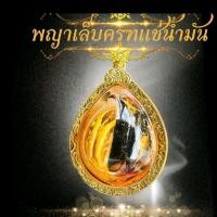 ราคา จี้พญาเล็บครุฑ กระจับเงินกระจับทอง แช่น้ำมันจันทร์เลี่ยมกรอบทองไมครอน วัตถุมงคล 54มิล (44207004470)