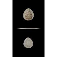 ราคา พระสังกัจจายน์ หลวงพ่อเส็ง วัดบางนา พิมพ์หยดน้ำ เนื้อผง พ.ศ.2525 จ.ปทุมธานี (44374576717)
