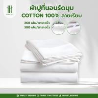 ราคา ผ้าปูที่นอนโรงแรม ผ้าปูที่นอนรัดมุม Triple T ผ้า Cotton 100% ลายเรียบ ทอ260และ300 เส้น/ตารางนิ้ว **แถมฟรี!!! ปลอกหมอน** (5258326342)