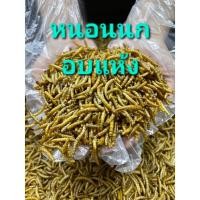 ราคา Dried Mealworms หนอนนก หนอนอบแห้ง (17069934589)