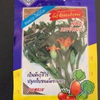 ราคา เมล็ดพันธ์ุฟักทองเก็บยอด (7117072294)