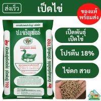 ราคา อาหารเป็ดไข่ ป.เจริญพันธุ์ 702 เม็ดผสมสำเร็จ [เป็ดพันธุ์ เป็ดไข่] (25808400414)