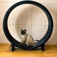 ราคา Cat Treadmill Fitness Weight Loss Grinding Claws Cat Roller Multi-function Silent Pet Treadmill Pet (45002962555)
