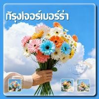 ราคา YTL ดอกไม้ประดิษฐ์ ดอกเยอบีร่าปลอม เยอบีร่าปลอม เยอบีร่า สําหรับตกแต่งบ้าน (44274002211)
